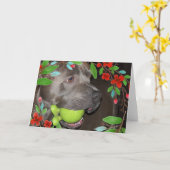 Schattige Pitbull Terrier met Rode Bloem Frame Kaart (Gele Bloem)
