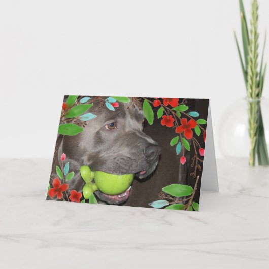 Schattige Pitbull Terrier met Rode Bloem Frame Kaart (Voorkant)