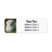 Schattige pluizig wit maltees puppy hond retouradr etiket (Voorkant)