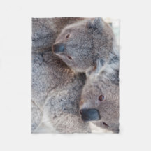 Schattige Pluizige Grijze Koala's