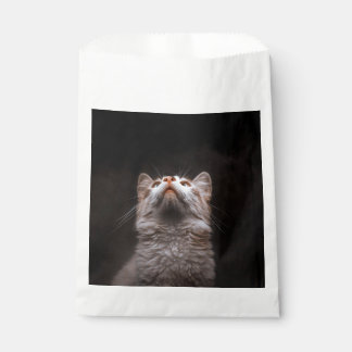 Schattige pluizige kat omhoog kijkend Zwarte achte Bedankzakje