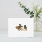 schattige pluizige kuikens briefkaart (Staand voorkant)