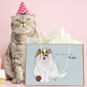 Schattige Pluizige Perzische Kat Grappige Miauw Bl Groot Cadeauzakje