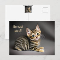 Schattige pluizige tabby kat baby "beterschap" 