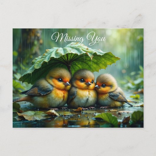Schattige pluizige vogels in de regen *Jou Missen* Briefkaart (Voorkant)