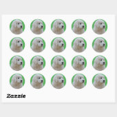 Schattige Polish Tatra Puppy Head Sticker op Groen (Vel)