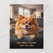 Schattige Pomeranian Beterschap Briefkaart (Voorkant)