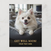 Schattige Pomeranian Beterschap Briefkaart (Voorkant)
