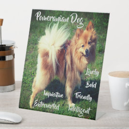 Schattige Pomeranian Hond Kenmerken Sokkel Bord Reclamebord Met Voetstuk