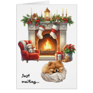Schattige Pomeranian hond wacht op kerst