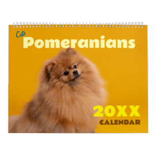 Schattige Pomeranians Kalender 2027 Honden
