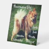 Schattige Pommerse Hondenkenmerken voetstuk teken Reclamebord Met Voetstuk (Voorkant)