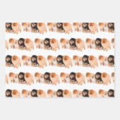 Schattige pommerse papierset inpakpapier vel (Voorkant)