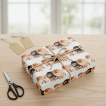 Schattige pommerse papierset