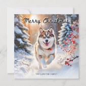 Schattige Pomsky-hond in de sneeuw Kerstmis pretti Feestdagenkaart (Voorkant)