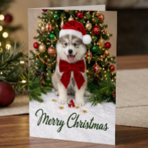 Schattige Pomsky Puppy Hond Liefhebber Kerstman Ho