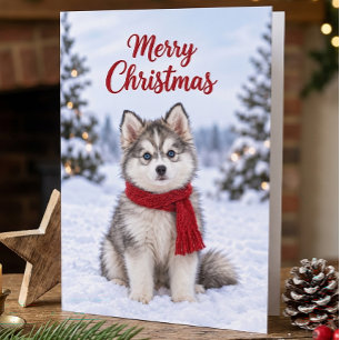 Schattige Pomsky Puppy Hond Liefhebber Sneeuwige K Kaart