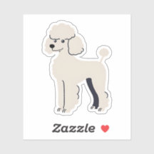 Schattige Poodle