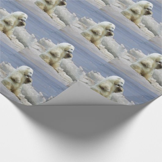 Schattige poolijsblokje & Arctic Beer Cadeaupapier (Hoek)