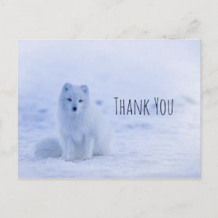 Schattige Poolvos op Sneeuw Dank Je Briefkaart