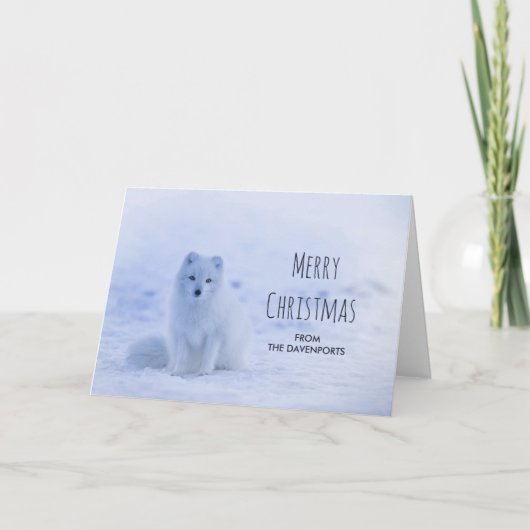 Schattige poolvos op sneeuw Prettig kerstfeest Kaart (Voorkant)