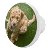 Schattige pop keramische knop (Rechts)