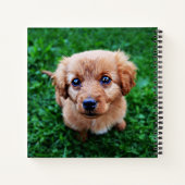 Schattige pop op grasfoto notitieboek (Achterkant)