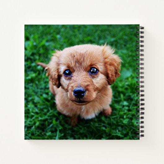 Schattige pop op grasfoto notitieboek (Achterkant)