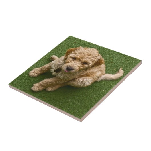 Schattige pop tegeltje (Zijkant)