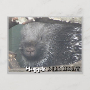 Schattige Porcupine Face DIY Happy Birthday Briefk Briefkaart