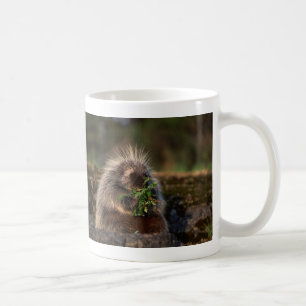 Schattige Porcupine Koffiemok