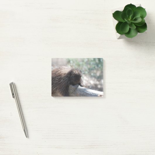 Schattige Porcupine Post-it® Notes (Kantoor)