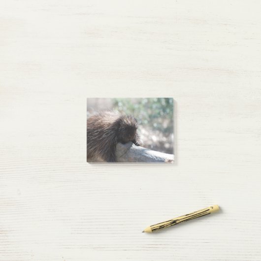 Schattige Porcupine Post-it® Notes (Op bureau)