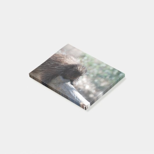 Schattige Porcupine Post-it® Notes (Schuin)