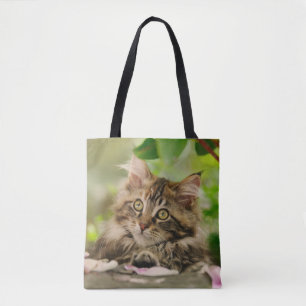 Schattige Portret Maine Coon Cat Kitten Fotoshoppe Tote Bag