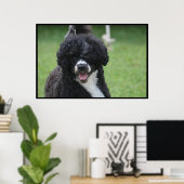 Schattige Portugese waterhond Poster (Thuiskantoor)