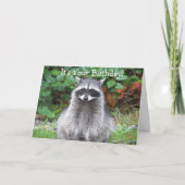 Schattige Posing Raccoon Funny Wildlife Verjaardag Kaart (Voorkant)