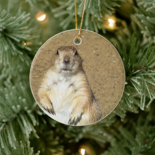 Schattige Prairie Dog Ornament (Boom)