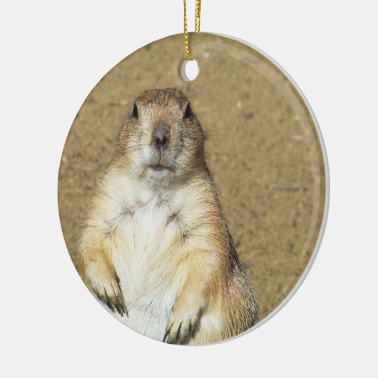 Schattige Prairie Dog Ornament (Links)