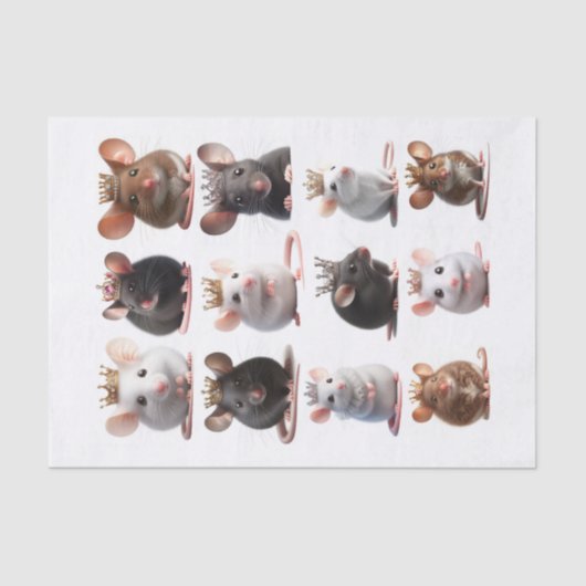 Schattige prinses en prinsessenmuizen met kronen tissuepapier (Voorkant)