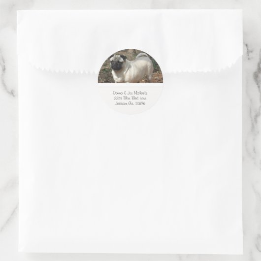 Schattige Pug Adresetiketten Ronde Sticker (Tas)
