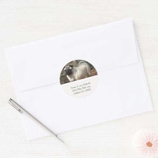 Schattige Pug Adresetiketten Ronde Sticker (Envelop)