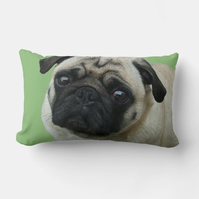 Schattige Pug American MoJo Lumbar Kussens (Voorkant)