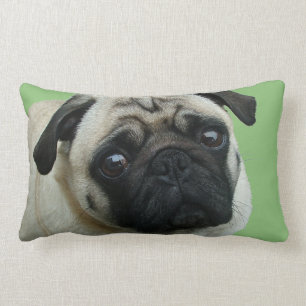 Schattige Pug American MoJo Lumbar Kussens