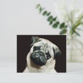 Schattige Pug Briefkaart (Staand voorkant)