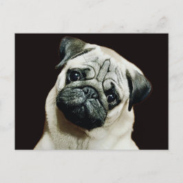 Schattige Pug Briefkaart