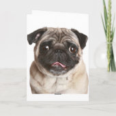 Schattige Pug Puppy Dog Happy Birthday Wenskaart Kaart (Achterkant)