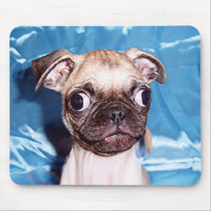 Schattige Pug Puppy Mousepad Muismat