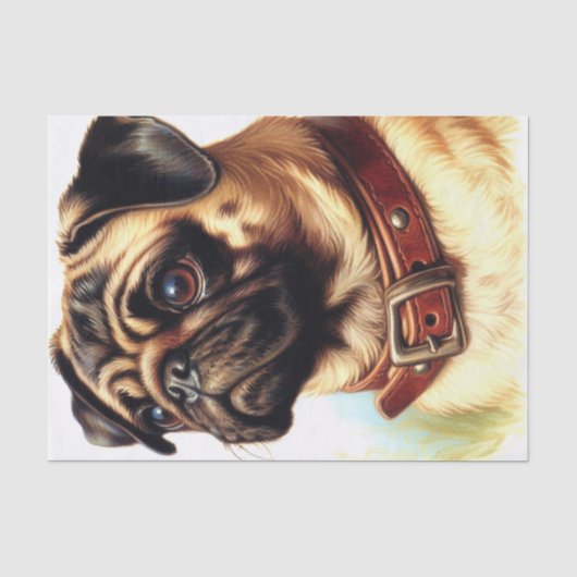 Schattige Pug Retro Schilderen Tissuepapier (Voorkant)