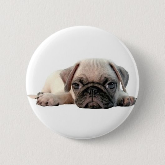 schattige pug ronde button 5,7 cm (Voorkant)